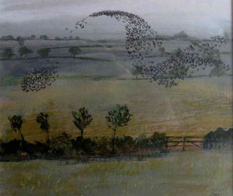 Starlings