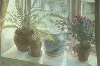 Plants on the Window Sill